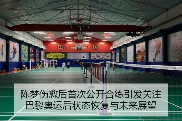 陈梦伤愈后首次公开合练引发关注 巴黎奥运后状态恢复与未来展望