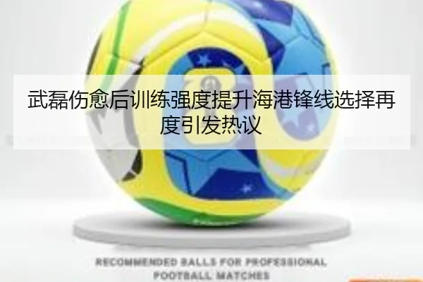 武磊伤愈后训练强度提升海港锋线选择再度引发热议